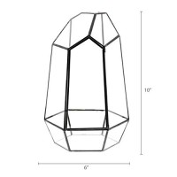 Barnyard Designs Watertight Glass Terrarium Succulent Plant Container Geometric Irregular Prism Shape Tabletop Decor 6" x 10" (Black)   